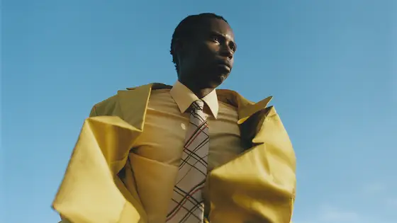 Visuel de l’annonce : Bongeziwe Mabandla